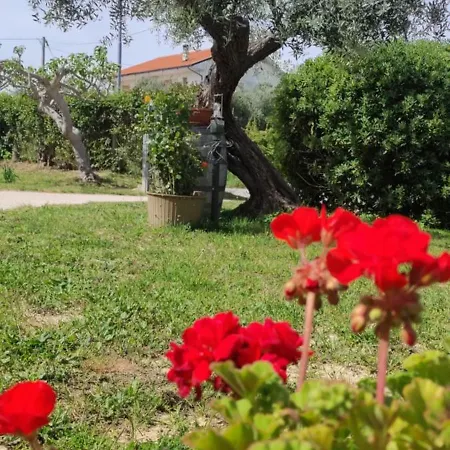 La Fattoria Dei Desideri *