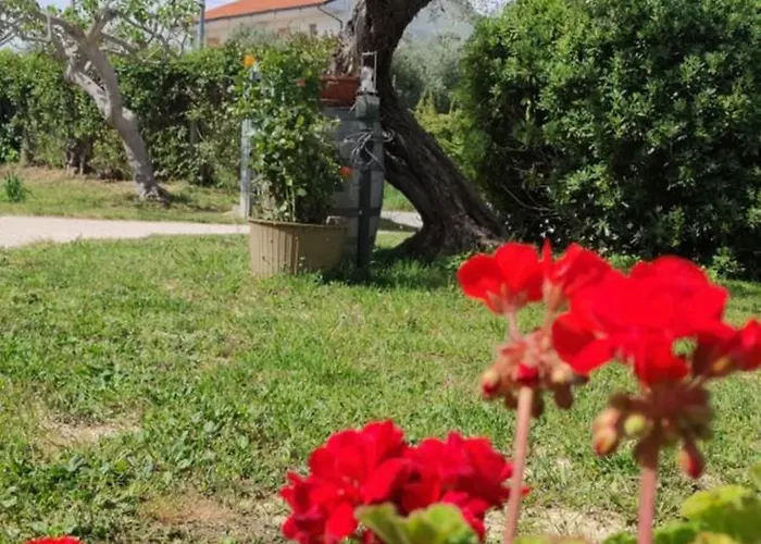 La Fattoria Dei Desideri *